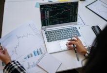 beginner s profitable stock picks