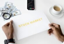 diversify portfolio for maximum