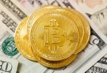 essential stocks for investors
