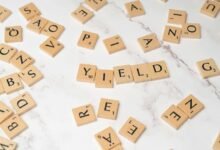 top stable dividend stocks