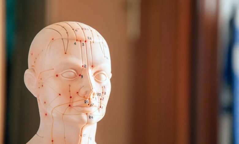 comprehensive reference file numbers