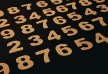 phone numbers to investigate